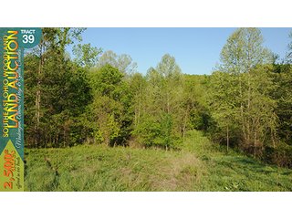 Property photo 131 - WOODLAND AUCTION, SOUTHEAST OHIO WOODLAND - 2,500+/- Acres offered in 66 Tracts in Muskingum, Athens, Meigs & Gallia Counties