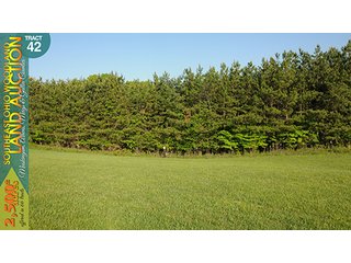 Property photo 133 - WOODLAND AUCTION, SOUTHEAST OHIO WOODLAND - 2,500+/- Acres offered in 66 Tracts in Muskingum, Athens, Meigs & Gallia Counties