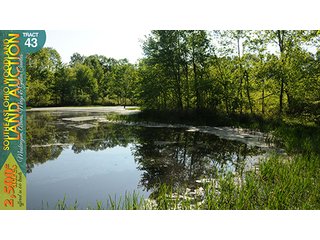 Property photo 137 - WOODLAND AUCTION, SOUTHEAST OHIO WOODLAND - 2,500+/- Acres offered in 66 Tracts in Muskingum, Athens, Meigs & Gallia Counties