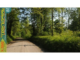 Property photo 138 - WOODLAND AUCTION, SOUTHEAST OHIO WOODLAND - 2,500+/- Acres offered in 66 Tracts in Muskingum, Athens, Meigs & Gallia Counties