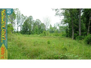 Property photo 139 - WOODLAND AUCTION, SOUTHEAST OHIO WOODLAND - 2,500+/- Acres offered in 66 Tracts in Muskingum, Athens, Meigs & Gallia Counties