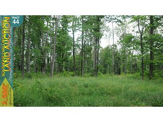 Property photo 143 - WOODLAND AUCTION, SOUTHEAST OHIO WOODLAND - 2,500+/- Acres offered in 66 Tracts in Muskingum, Athens, Meigs & Gallia Counties