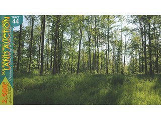 Property photo 144 - WOODLAND AUCTION, SOUTHEAST OHIO WOODLAND - 2,500+/- Acres offered in 66 Tracts in Muskingum, Athens, Meigs & Gallia Counties