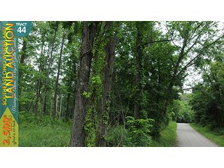 Property photo 145 - WOODLAND AUCTION, SOUTHEAST OHIO WOODLAND - 2,500+/- Acres offered in 66 Tracts in Muskingum, Athens, Meigs & Gallia Counties