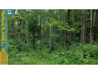 Property photo 146 - WOODLAND AUCTION, SOUTHEAST OHIO WOODLAND - 2,500+/- Acres offered in 66 Tracts in Muskingum, Athens, Meigs & Gallia Counties
