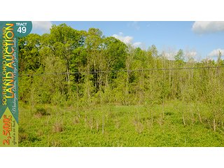 Property photo 148 - WOODLAND AUCTION, SOUTHEAST OHIO WOODLAND - 2,500+/- Acres offered in 66 Tracts in Muskingum, Athens, Meigs & Gallia Counties