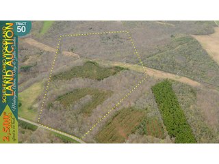Property photo 152 - WOODLAND AUCTION, SOUTHEAST OHIO WOODLAND - 2,500+/- Acres offered in 66 Tracts in Muskingum, Athens, Meigs & Gallia Counties