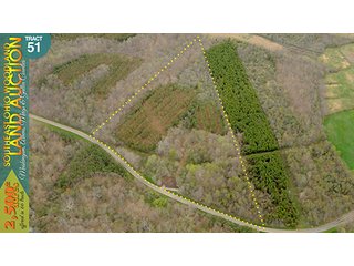 Property photo 156 - WOODLAND AUCTION, SOUTHEAST OHIO WOODLAND - 2,500+/- Acres offered in 66 Tracts in Muskingum, Athens, Meigs & Gallia Counties