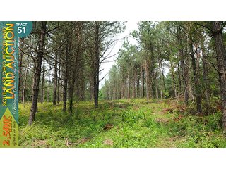 Property photo 157 - WOODLAND AUCTION, SOUTHEAST OHIO WOODLAND - 2,500+/- Acres offered in 66 Tracts in Muskingum, Athens, Meigs & Gallia Counties