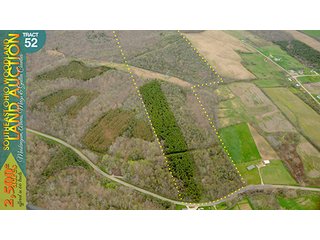 Property photo 161 - WOODLAND AUCTION, SOUTHEAST OHIO WOODLAND - 2,500+/- Acres offered in 66 Tracts in Muskingum, Athens, Meigs & Gallia Counties