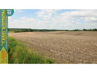 Property photo 170 - WOODLAND AUCTION, SOUTHEAST OHIO WOODLAND - 2,500+/- Acres offered in 66 Tracts in Muskingum, Athens, Meigs & Gallia Counties