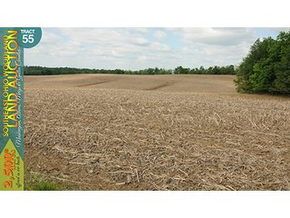 Property photo 171 - WOODLAND AUCTION, SOUTHEAST OHIO WOODLAND - 2,500+/- Acres offered in 66 Tracts in Muskingum, Athens, Meigs & Gallia Counties