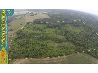 Property photo 173 - WOODLAND AUCTION, SOUTHEAST OHIO WOODLAND - 2,500+/- Acres offered in 66 Tracts in Muskingum, Athens, Meigs & Gallia Counties