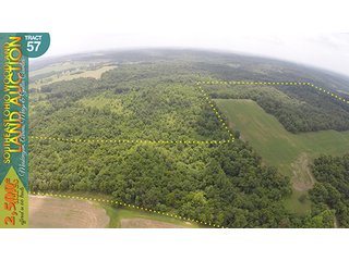 Property photo 176 - WOODLAND AUCTION, SOUTHEAST OHIO WOODLAND - 2,500+/- Acres offered in 66 Tracts in Muskingum, Athens, Meigs & Gallia Counties
