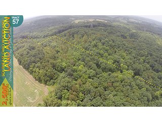 Property photo 177 - WOODLAND AUCTION, SOUTHEAST OHIO WOODLAND - 2,500+/- Acres offered in 66 Tracts in Muskingum, Athens, Meigs & Gallia Counties