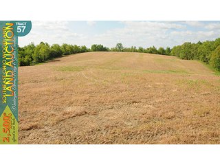 Property photo 178 - WOODLAND AUCTION, SOUTHEAST OHIO WOODLAND - 2,500+/- Acres offered in 66 Tracts in Muskingum, Athens, Meigs & Gallia Counties