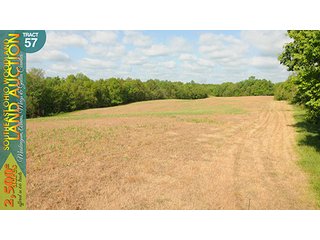 Property photo 179 - WOODLAND AUCTION, SOUTHEAST OHIO WOODLAND - 2,500+/- Acres offered in 66 Tracts in Muskingum, Athens, Meigs & Gallia Counties