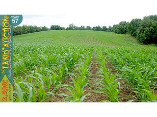 Property photo 180 - WOODLAND AUCTION, SOUTHEAST OHIO WOODLAND - 2,500+/- Acres offered in 66 Tracts in Muskingum, Athens, Meigs & Gallia Counties