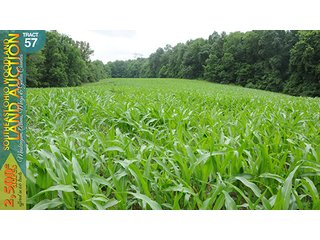 Property photo 181 - WOODLAND AUCTION, SOUTHEAST OHIO WOODLAND - 2,500+/- Acres offered in 66 Tracts in Muskingum, Athens, Meigs & Gallia Counties