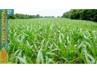 Property photo 182 - WOODLAND AUCTION, SOUTHEAST OHIO WOODLAND - 2,500+/- Acres offered in 66 Tracts in Muskingum, Athens, Meigs & Gallia Counties