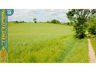 Property photo 185 - WOODLAND AUCTION, SOUTHEAST OHIO WOODLAND - 2,500+/- Acres offered in 66 Tracts in Muskingum, Athens, Meigs & Gallia Counties
