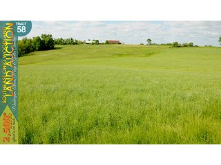 Property photo 186 - WOODLAND AUCTION, SOUTHEAST OHIO WOODLAND - 2,500+/- Acres offered in 66 Tracts in Muskingum, Athens, Meigs & Gallia Counties