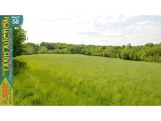 Property photo 187 - WOODLAND AUCTION, SOUTHEAST OHIO WOODLAND - 2,500+/- Acres offered in 66 Tracts in Muskingum, Athens, Meigs & Gallia Counties