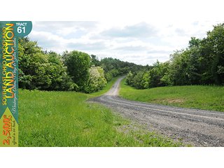 Property photo 195 - WOODLAND AUCTION, SOUTHEAST OHIO WOODLAND - 2,500+/- Acres offered in 66 Tracts in Muskingum, Athens, Meigs & Gallia Counties
