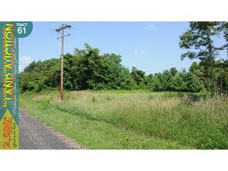 Property photo 197 - WOODLAND AUCTION, SOUTHEAST OHIO WOODLAND - 2,500+/- Acres offered in 66 Tracts in Muskingum, Athens, Meigs & Gallia Counties