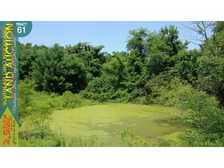 Property photo 198 - WOODLAND AUCTION, SOUTHEAST OHIO WOODLAND - 2,500+/- Acres offered in 66 Tracts in Muskingum, Athens, Meigs & Gallia Counties