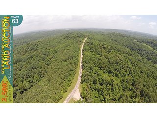 Property photo 202 - WOODLAND AUCTION, SOUTHEAST OHIO WOODLAND - 2,500+/- Acres offered in 66 Tracts in Muskingum, Athens, Meigs & Gallia Counties