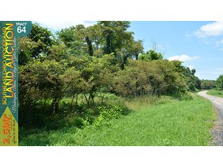Property photo 205 - WOODLAND AUCTION, SOUTHEAST OHIO WOODLAND - 2,500+/- Acres offered in 66 Tracts in Muskingum, Athens, Meigs & Gallia Counties