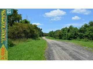 Property photo 206 - WOODLAND AUCTION, SOUTHEAST OHIO WOODLAND - 2,500+/- Acres offered in 66 Tracts in Muskingum, Athens, Meigs & Gallia Counties
