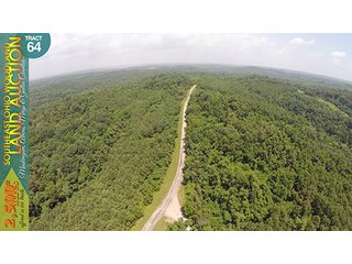 Property photo 207 - WOODLAND AUCTION, SOUTHEAST OHIO WOODLAND - 2,500+/- Acres offered in 66 Tracts in Muskingum, Athens, Meigs & Gallia Counties