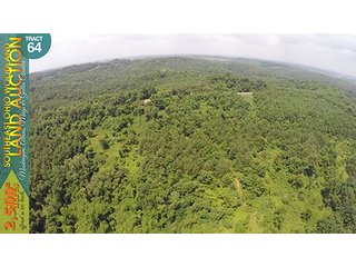 Property photo 208 - WOODLAND AUCTION, SOUTHEAST OHIO WOODLAND - 2,500+/- Acres offered in 66 Tracts in Muskingum, Athens, Meigs & Gallia Counties