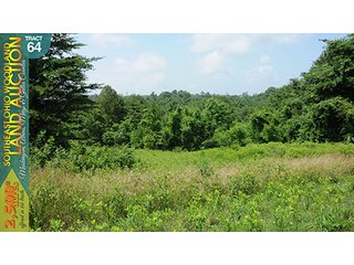 Property photo 209 - WOODLAND AUCTION, SOUTHEAST OHIO WOODLAND - 2,500+/- Acres offered in 66 Tracts in Muskingum, Athens, Meigs & Gallia Counties