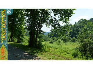 Property photo 212 - WOODLAND AUCTION, SOUTHEAST OHIO WOODLAND - 2,500+/- Acres offered in 66 Tracts in Muskingum, Athens, Meigs & Gallia Counties