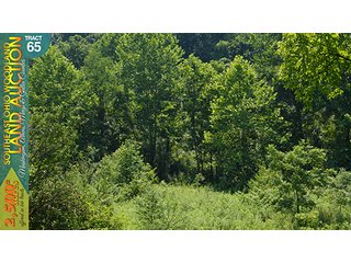 Property photo 213 - WOODLAND AUCTION, SOUTHEAST OHIO WOODLAND - 2,500+/- Acres offered in 66 Tracts in Muskingum, Athens, Meigs & Gallia Counties