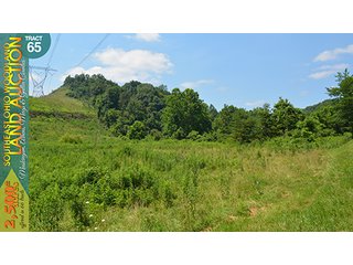 Property photo 214 - WOODLAND AUCTION, SOUTHEAST OHIO WOODLAND - 2,500+/- Acres offered in 66 Tracts in Muskingum, Athens, Meigs & Gallia Counties