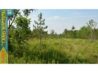 Property photo 218 - WOODLAND AUCTION, SOUTHEAST OHIO WOODLAND - 2,500+/- Acres offered in 66 Tracts in Muskingum, Athens, Meigs & Gallia Counties