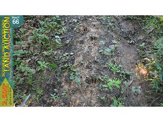 Property photo 219 - WOODLAND AUCTION, SOUTHEAST OHIO WOODLAND - 2,500+/- Acres offered in 66 Tracts in Muskingum, Athens, Meigs & Gallia Counties