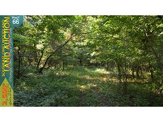 Property photo 222 - WOODLAND AUCTION, SOUTHEAST OHIO WOODLAND - 2,500+/- Acres offered in 66 Tracts in Muskingum, Athens, Meigs & Gallia Counties