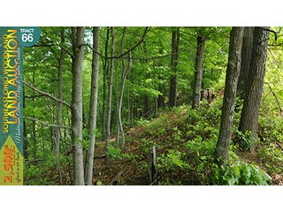 Property photo 223 - WOODLAND AUCTION, SOUTHEAST OHIO WOODLAND - 2,500+/- Acres offered in 66 Tracts in Muskingum, Athens, Meigs & Gallia Counties