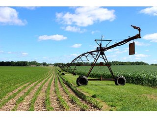 Property photo 1 - LAND AUCTION - 210+/- Acres in 1 Tract in Elkhart County