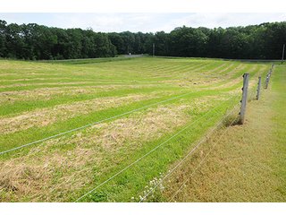 Tract 2 - ABSOLUTE REAL ESTATE AUCTION, 520+/- Acres offered in 5 Tracts in Polk County
