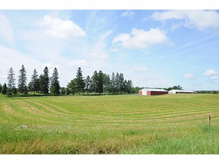 Tract 2 - ABSOLUTE REAL ESTATE AUCTION, 520+/- Acres offered in 5 Tracts in Polk County
