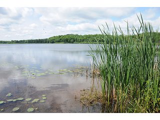 Tract 3 - ABSOLUTE REAL ESTATE AUCTION, 520+/- Acres offered in 5 Tracts in Polk County