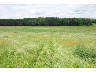 Property photo 35 - ABSOLUTE REAL ESTATE AUCTION, 520+/- Acres offered in 5 Tracts in Polk County