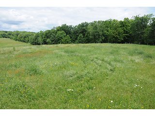 Property photo 34 - ABSOLUTE REAL ESTATE AUCTION, 520+/- Acres offered in 5 Tracts in Polk County