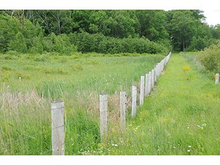 Property photo 33 - ABSOLUTE REAL ESTATE AUCTION, 520+/- Acres offered in 5 Tracts in Polk County
